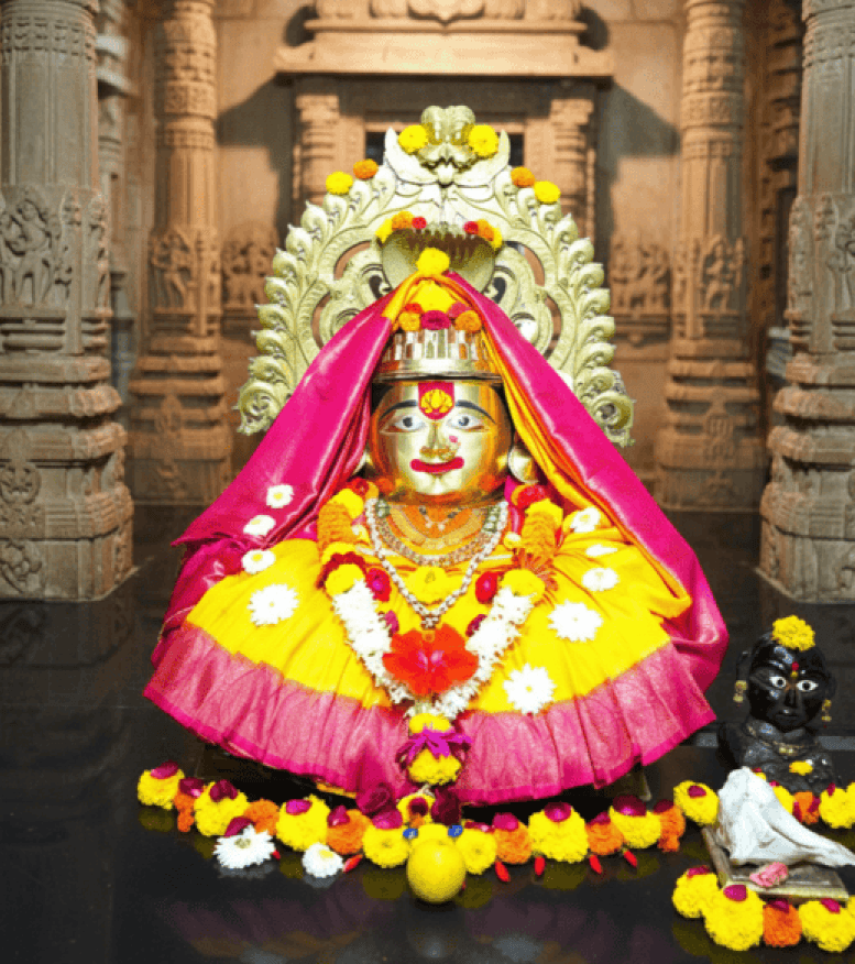 Gallery Image {{number}}